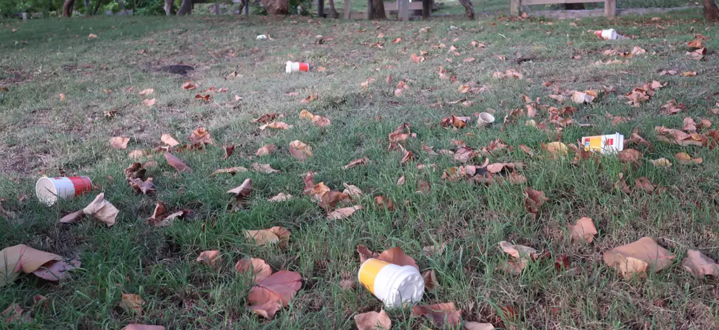 bannière photo sur un jardin publique parsemé de déchetsle verre et le plastique a leur domicile