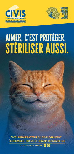 Guide étape par étape à télécharger. Comment bénéficier de l'aide 2026 à la stérilisation : Chats