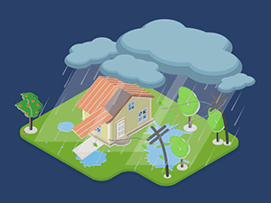 Au début de la saison cyclonique