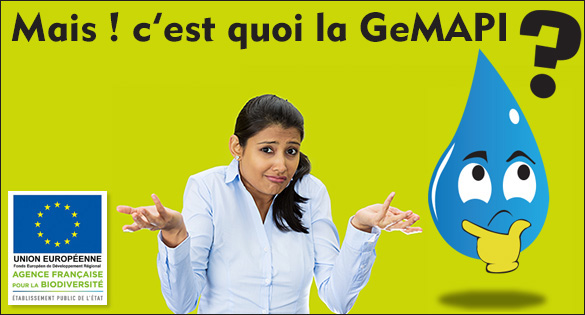 2021 - GeMAPI