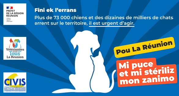 Stérilisation des animaux domestiques