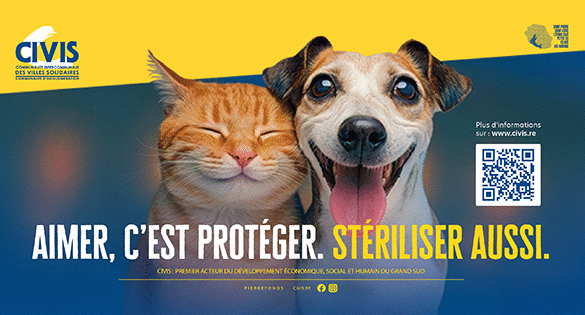 Stérilisation des animaux domestiques