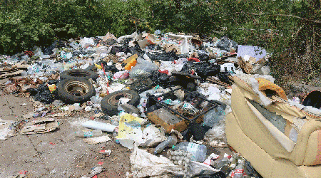 La Brigade de l'Environnement