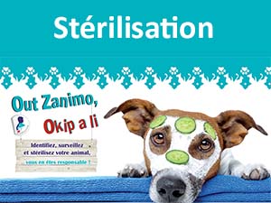 Campagne de stérilisation