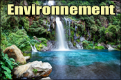 Environnement Environnement