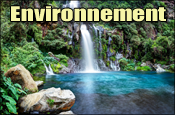 Environnement